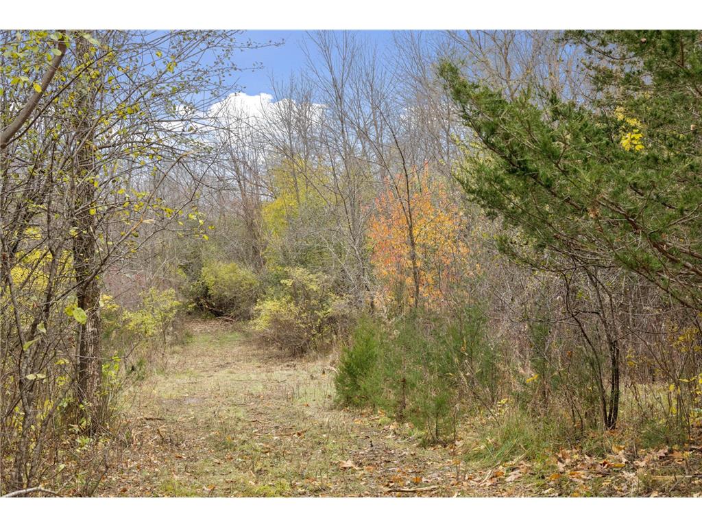 285 B N Old Crystal Bay Road Orono MN 55356 7020403 image22
