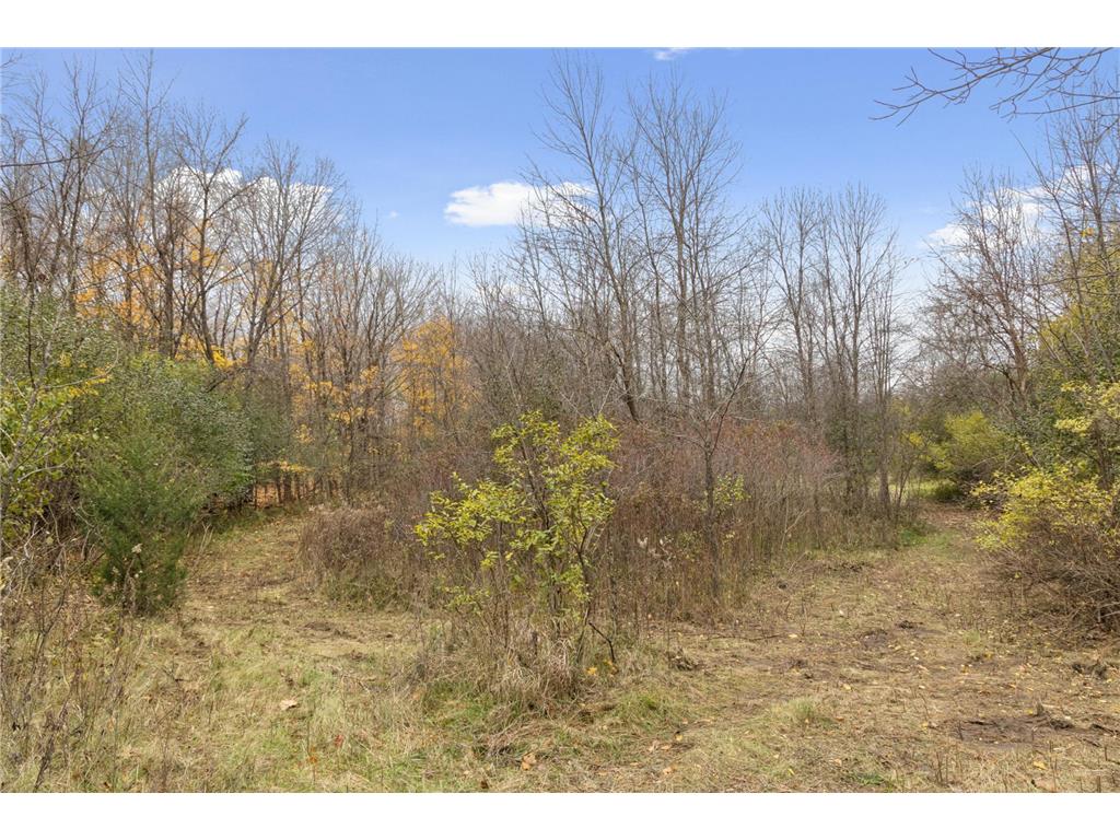 285 N Old Crystal Bay Road Orono MN 55356 7020406 image20