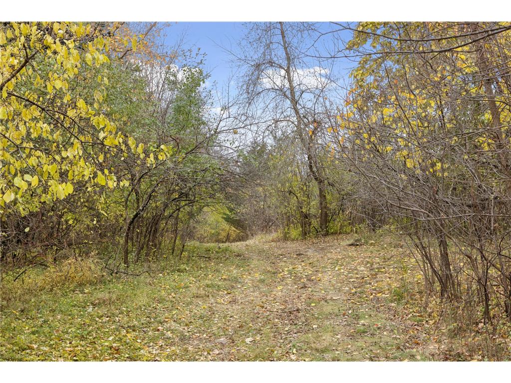 285 N Old Crystal Bay Road Orono MN 55356 7020406 image25