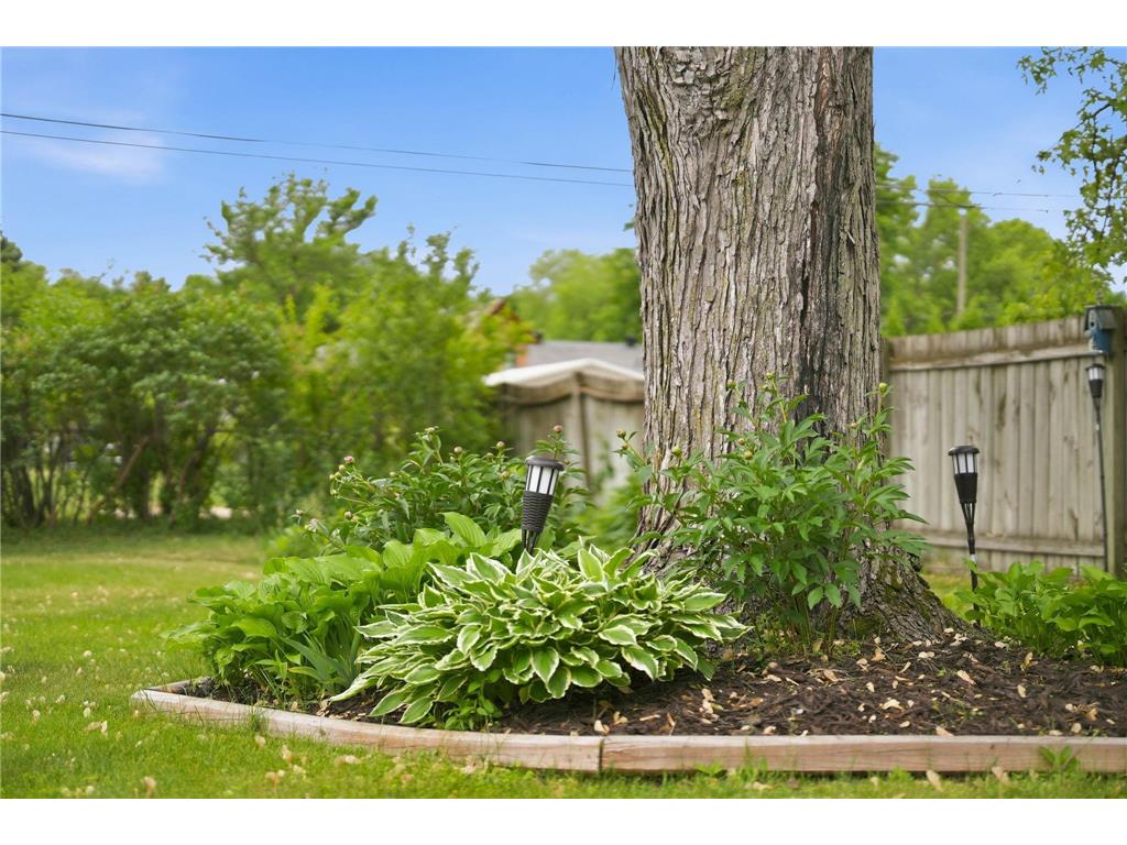 2850 121st Avenue NW Coon Rapids MN 55433 7078255 image41