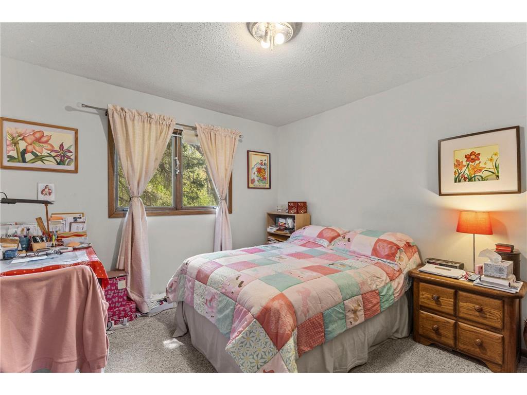 28508 Jocelyn Avenue Chisago City MN 55013 - Emily Lake 7056265 image14