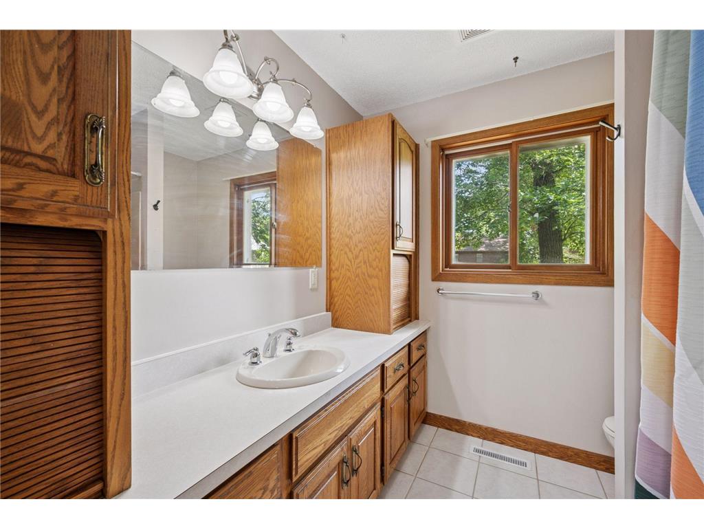 28510 142nd Street NW Zimmerman MN 55398 - Elk Lake 6754909 image52