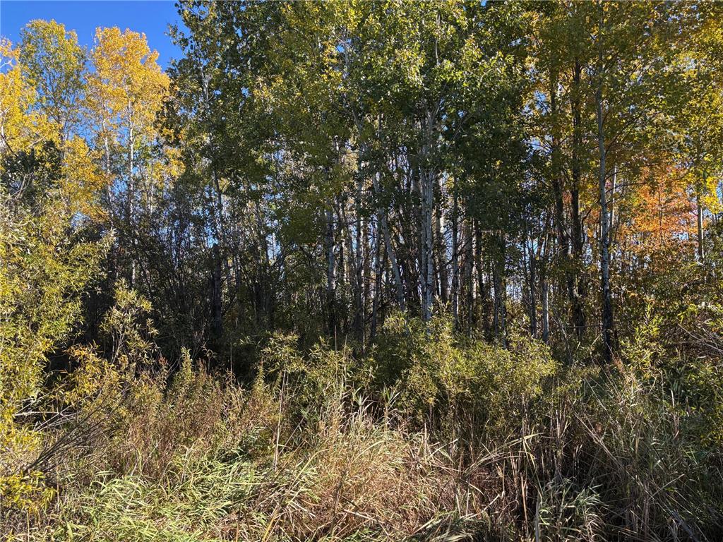 28532 460th Lane Palisade MN 55760 6806396 image11