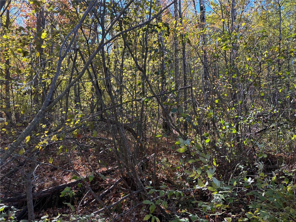 28532 460th Lane Palisade MN 55760 6806396 image12