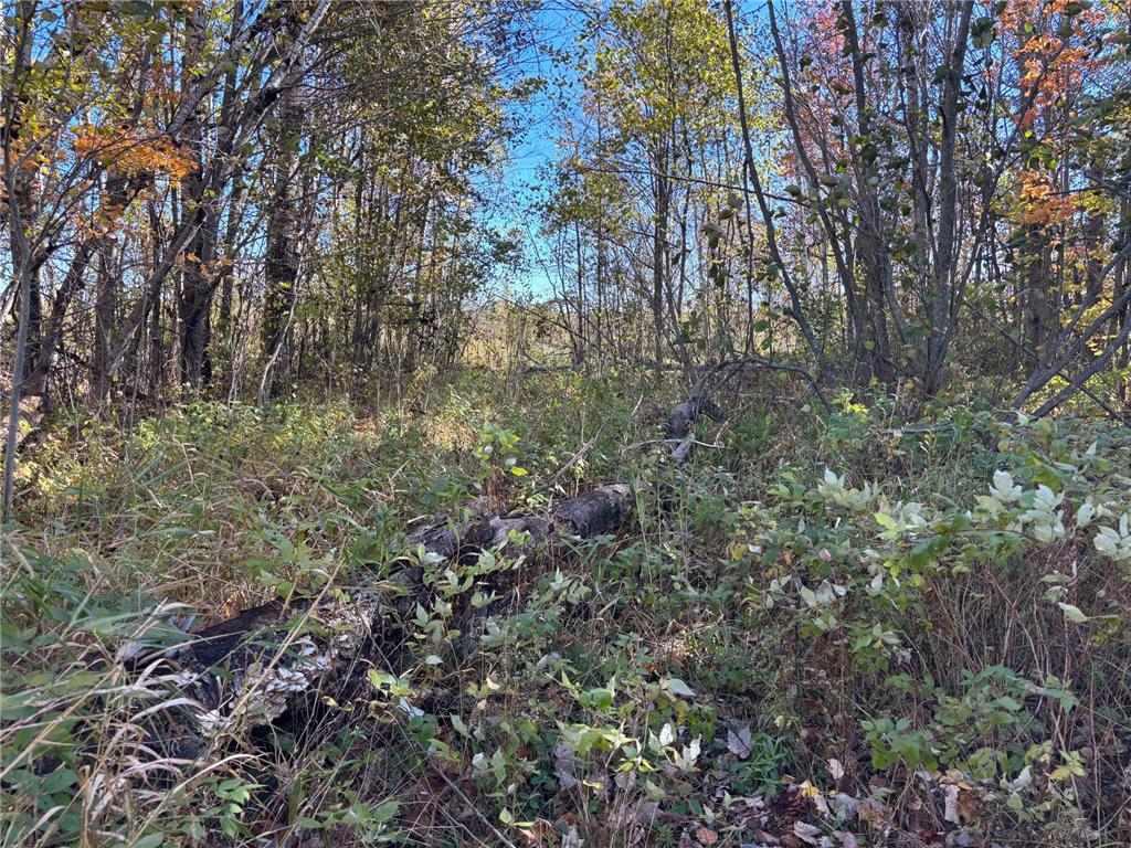 28532 460th Lane Palisade MN 55760 6806396 image15