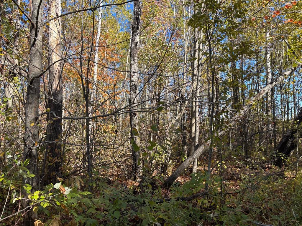 28532 460th Lane Palisade MN 55760 7047653 image9