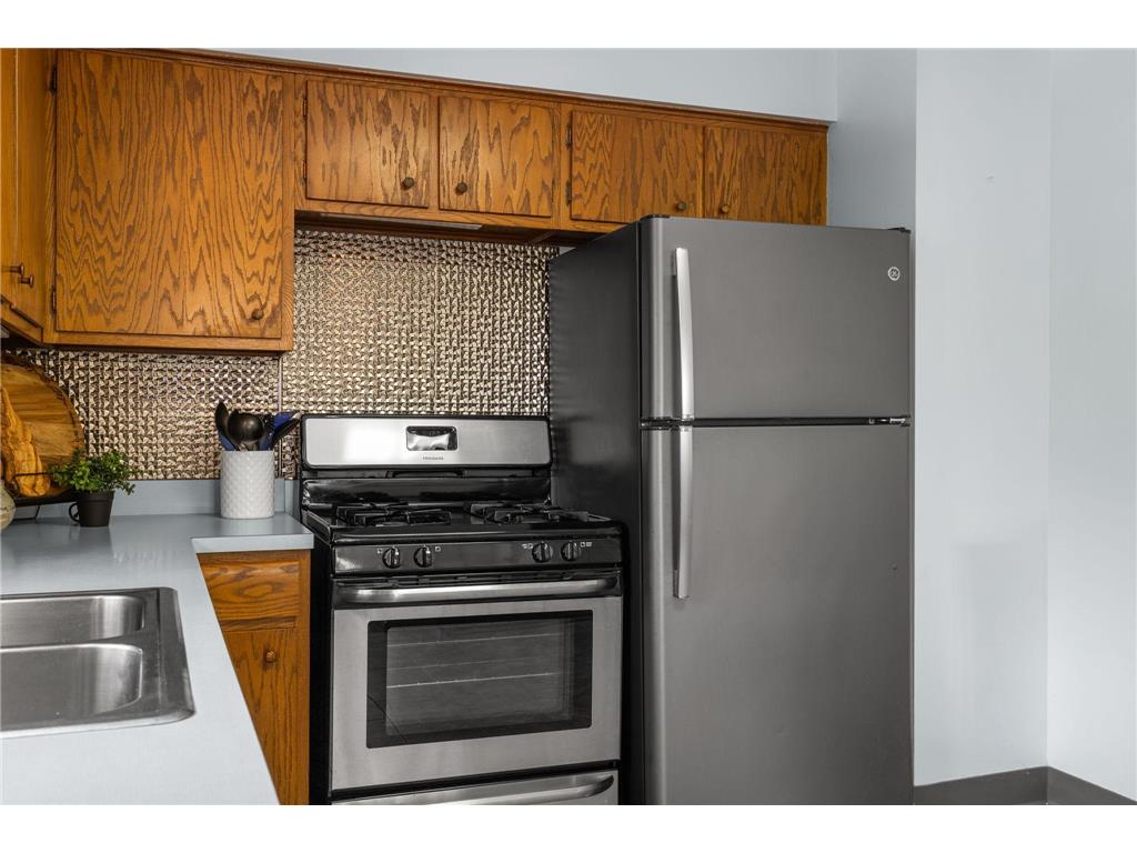2854 Churchill Street Roseville MN 55113 7055039 image11