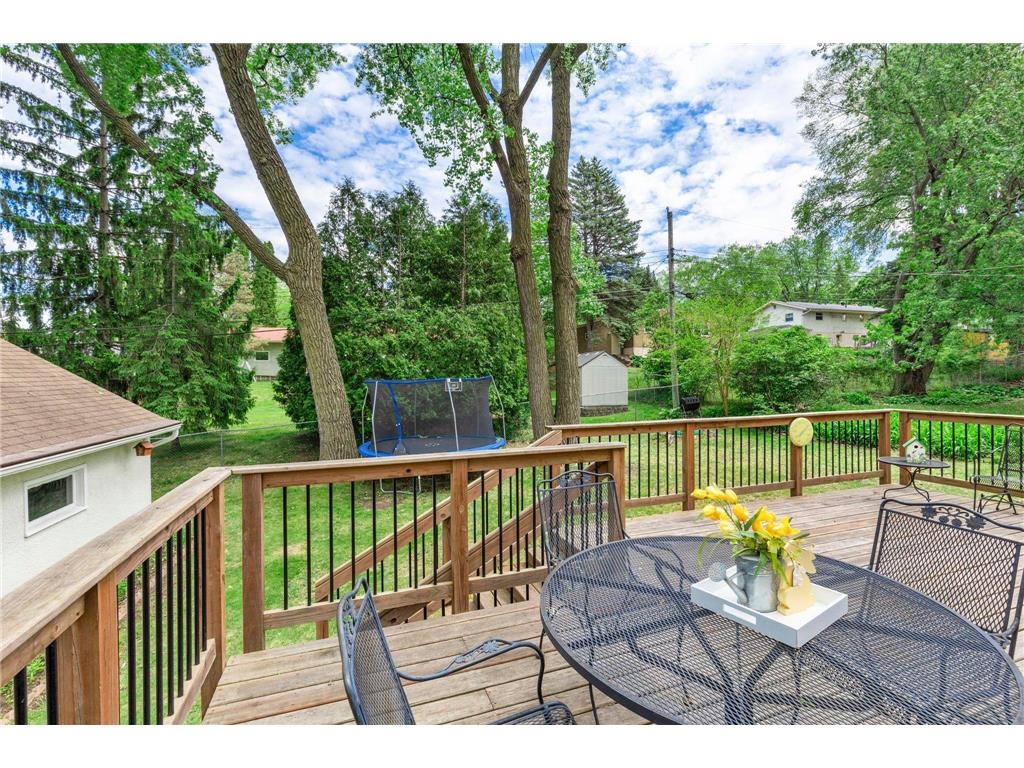 2854 Churchill Street Roseville MN 55113 7055039 image31