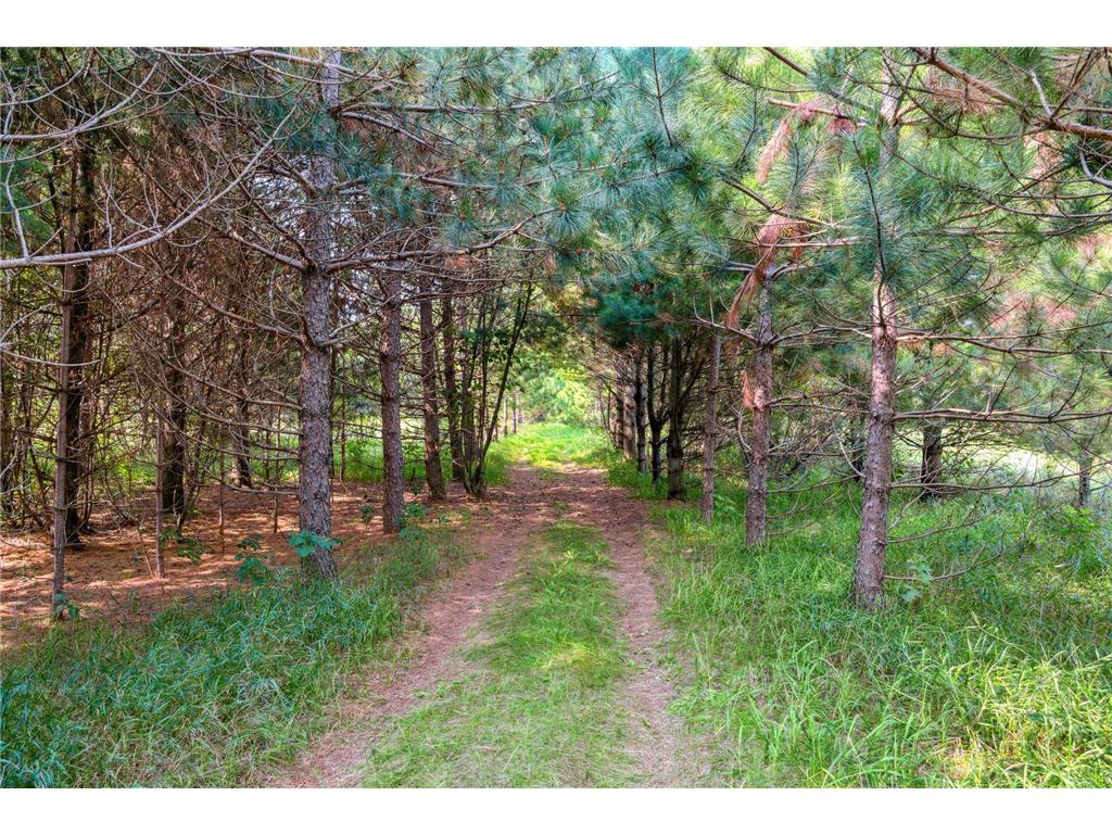 28549 305th Place Aitkin MN 56431 - Sugar Lake 6675483 image45