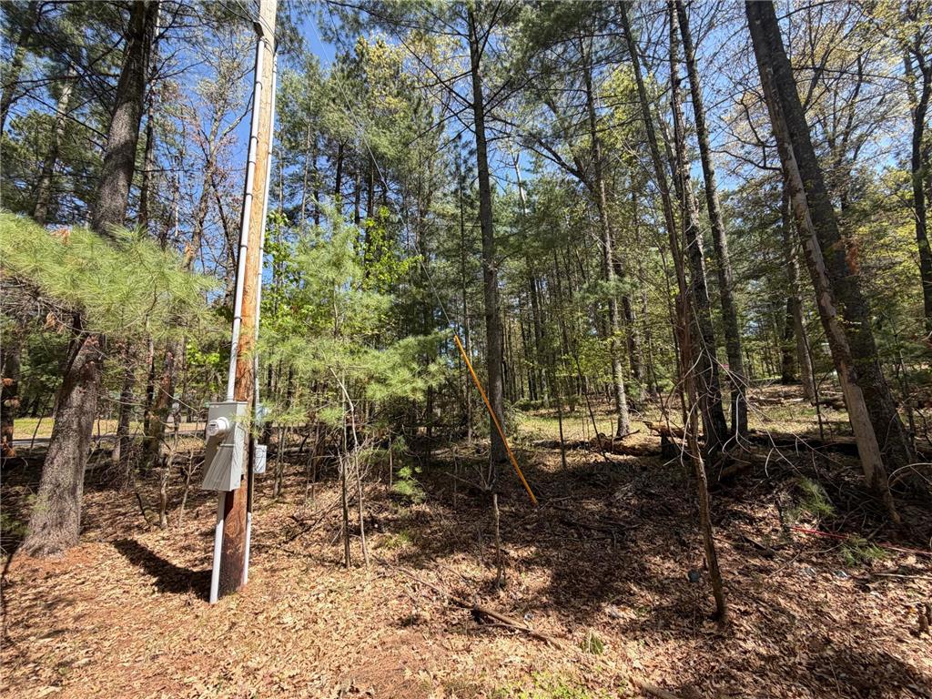 28550 Bonner Lake Road Danbury WI 54830 7077595 image20