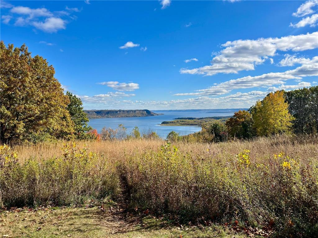 28589 Lake Avenue Way Frontenac MN 55026 - PEPIN 6688273 image10