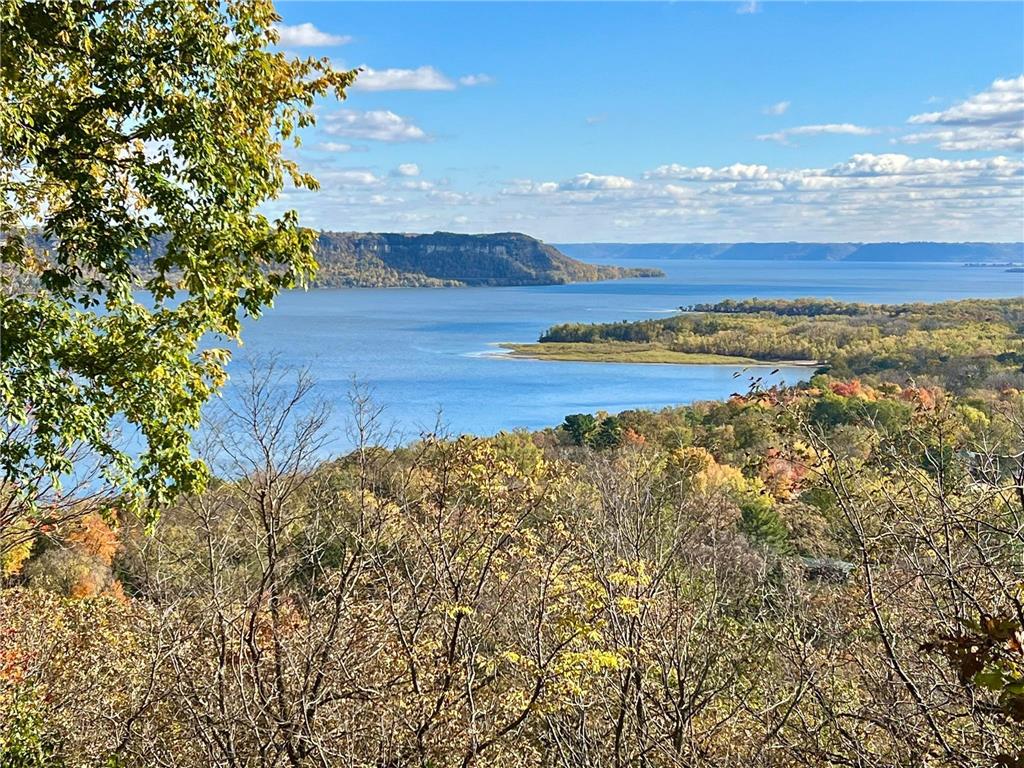 28589 Lake Avenue Way Frontenac MN 55026 - PEPIN 6688273 image63