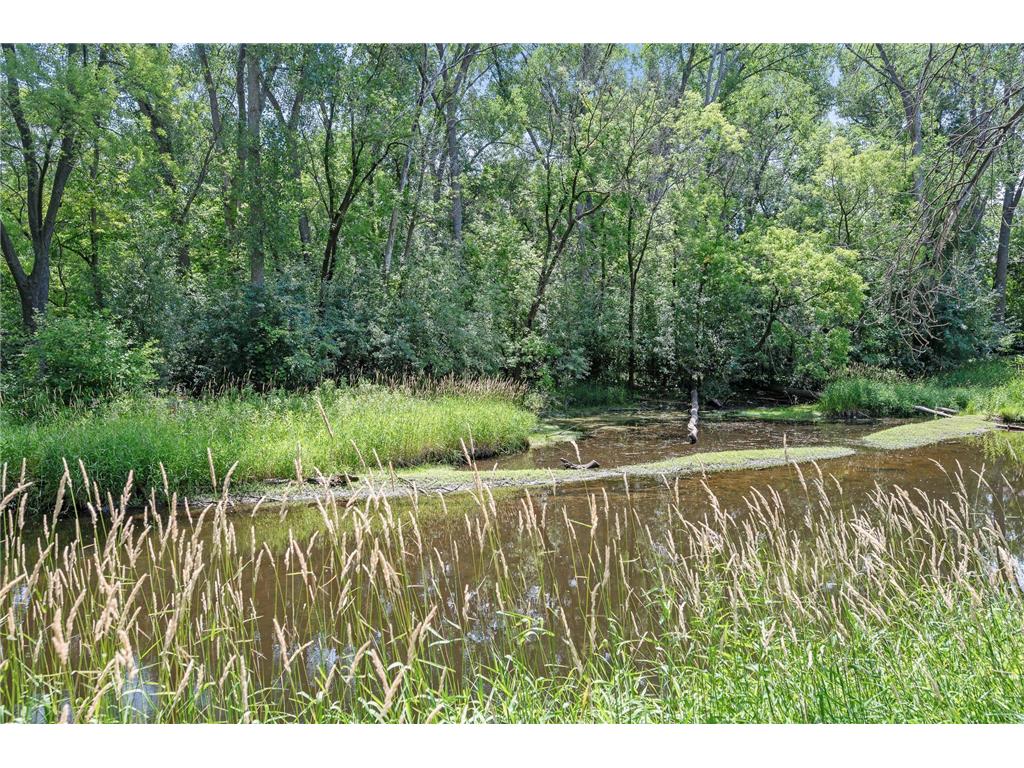 286 Rice Creek Boulevard NE Fridley MN 55432 - Rice Creek 6391456 image1