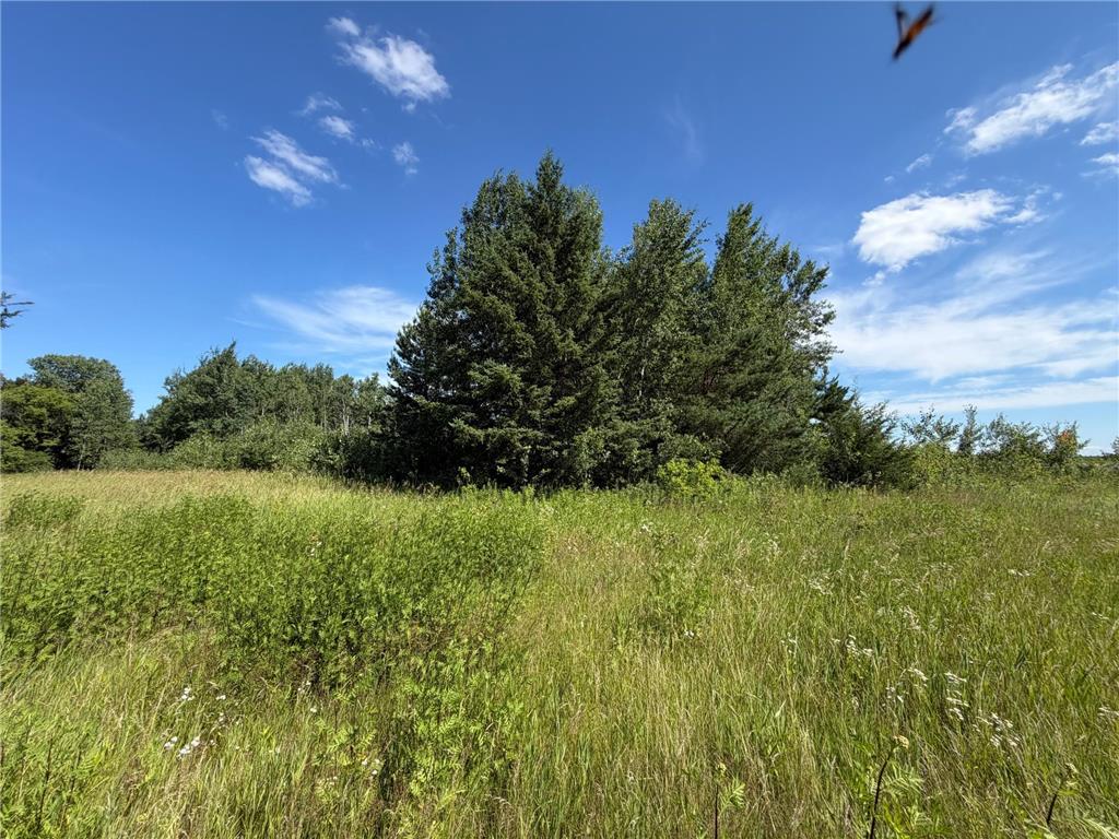 28624 Sierra Avenue Franconia Twp MN 55074 7105095 image20