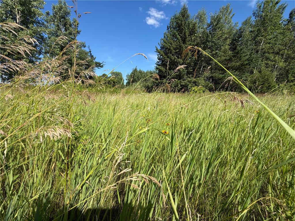 28624 Sierra Avenue Franconia Twp MN 55074 7105095 image22