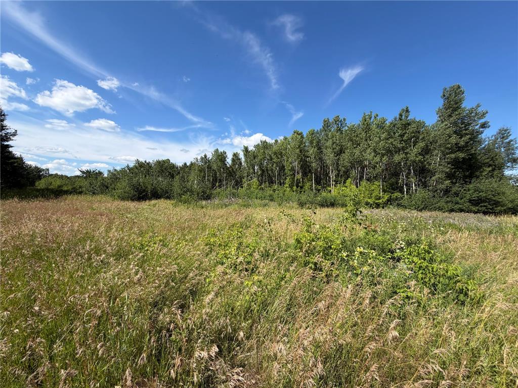 28624 Sierra Avenue Franconia Twp MN 55074 7105095 image23