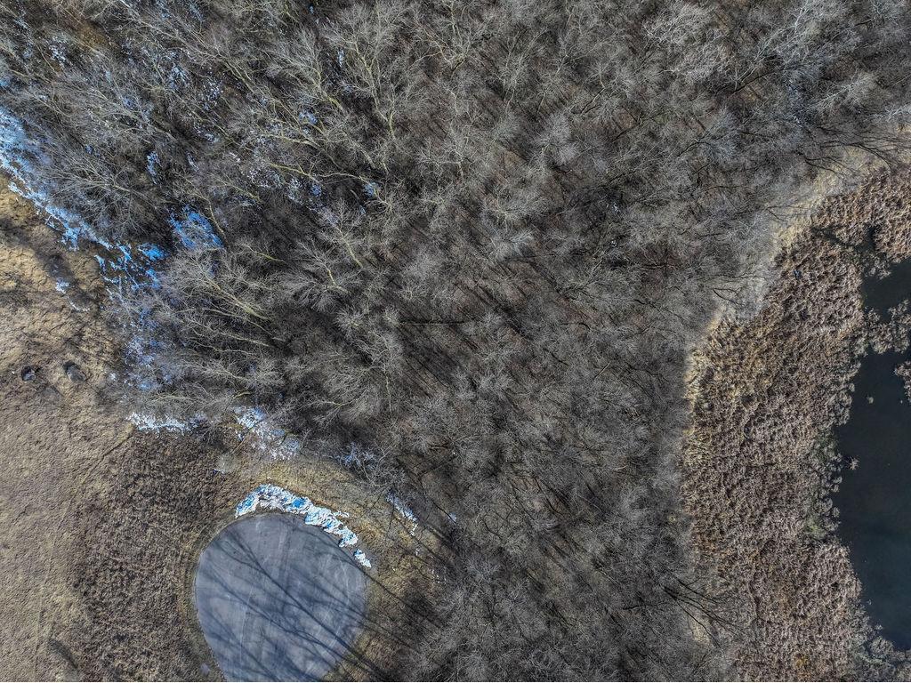 28630 Clarence Court Paynesville MN 56362 6510877 image6