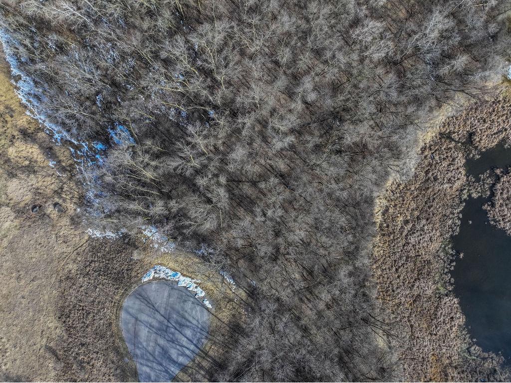 28630 Clarence Court Paynesville MN 56362 6510877 image7