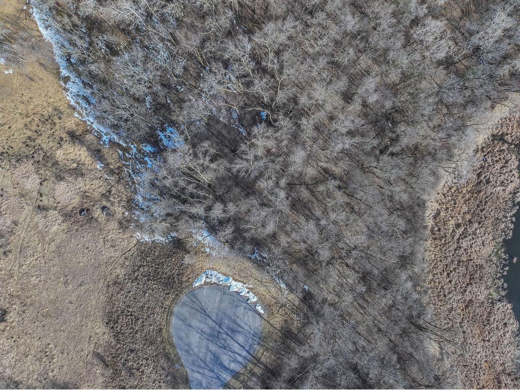 28630 Clarence Court Paynesville MN 56362 6510877 image8