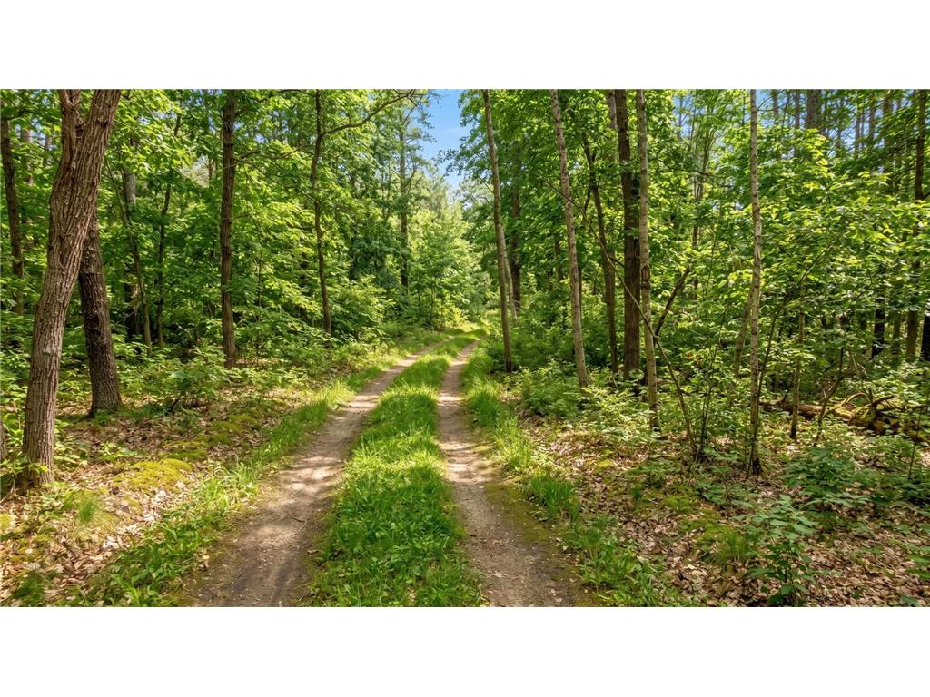 28642 County 119 Nevis MN 56467 - Loon Lake 7065966 image28