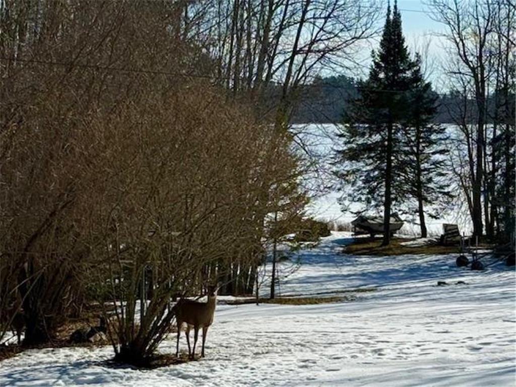 28654 Grozys Point Road Lone Pine Twp MN 55775 - Swan Lake 7033898 image41