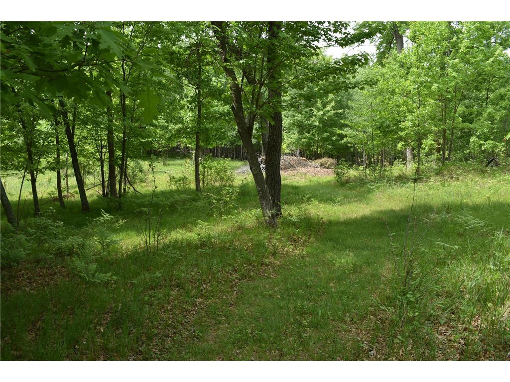 28755 Spotted Fawn Drive Jackson Twp WI 54830 - Shoal Lake 7059436 image56