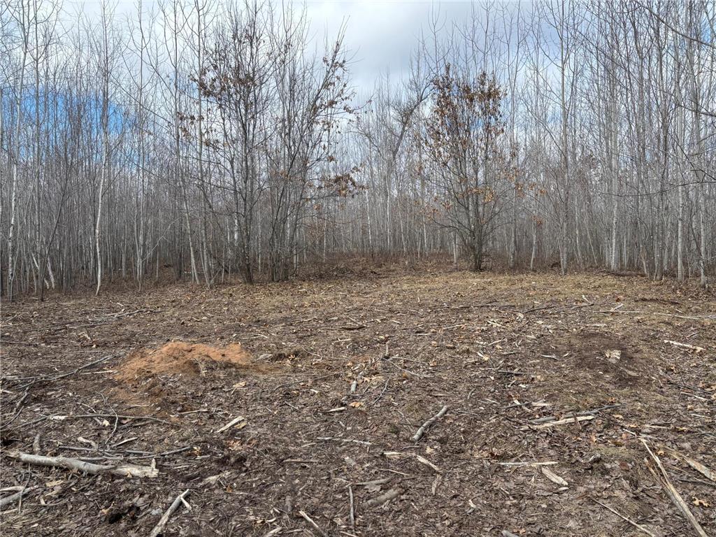28791 Spotted Fawn Road Jackson Twp WI 54830 6815817 image15