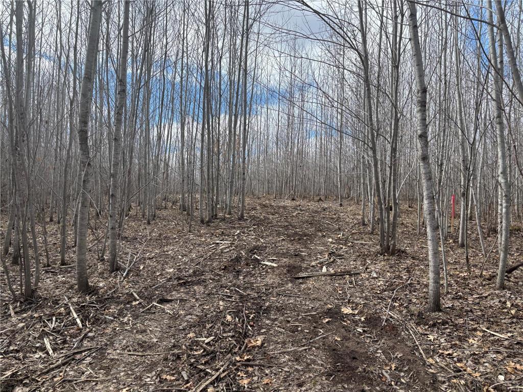 28791 Spotted Fawn Road Jackson Twp WI 54830 6815817 image16