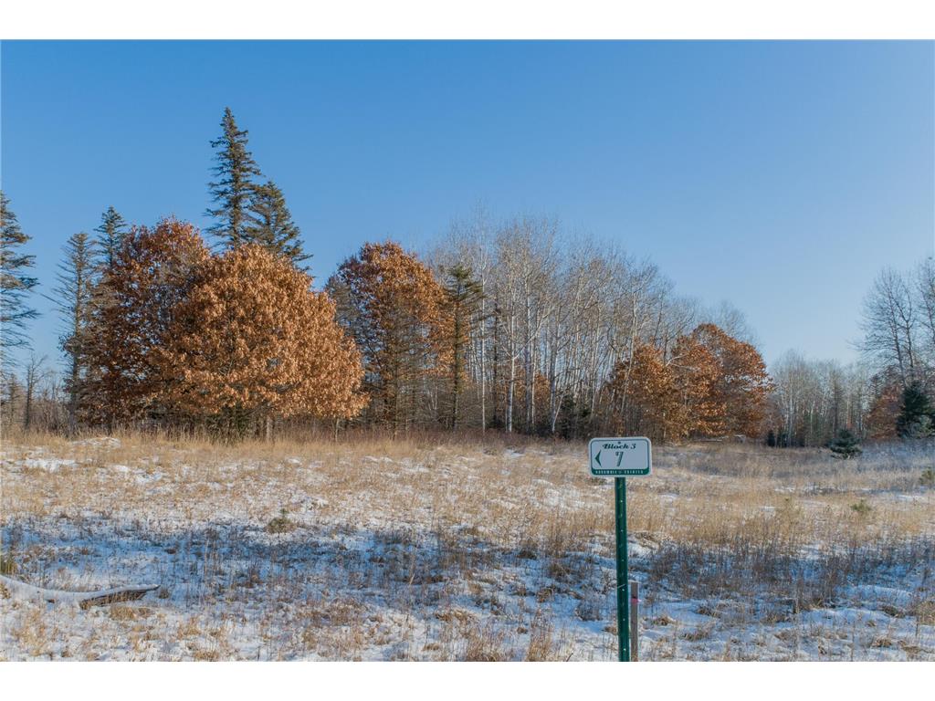 28795 133rd Street NW Baldwin Twp MN 55398 7023278 image1