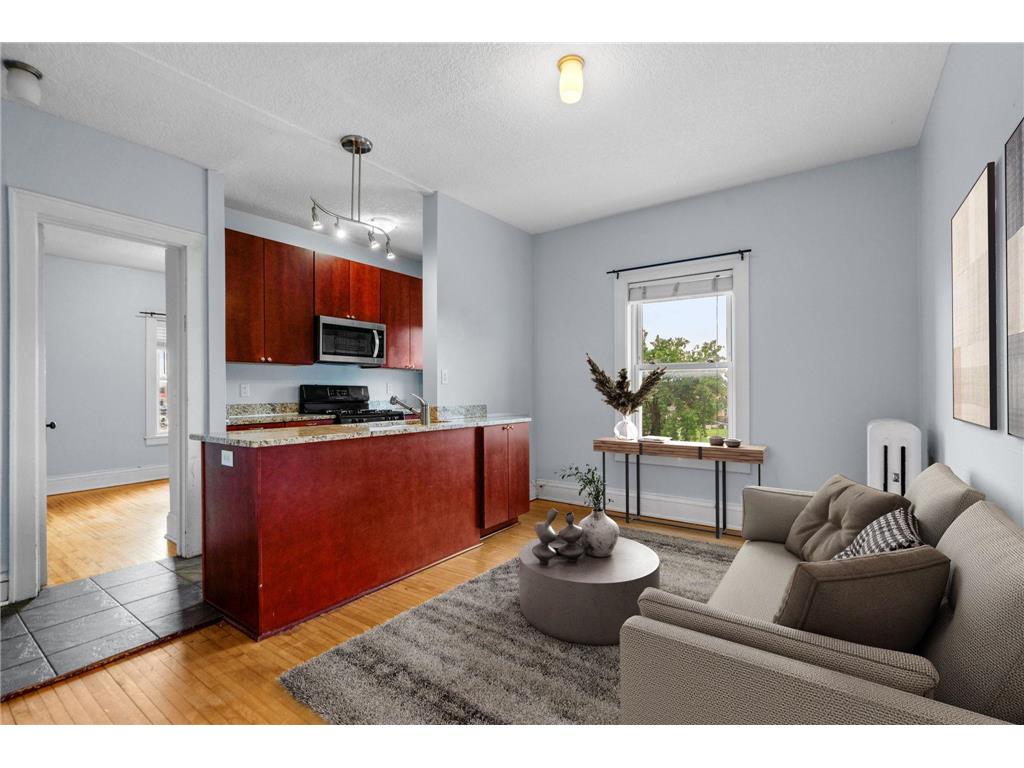 2881 Irving Avenue S #305 Minneapolis MN 55408 6576770 image1