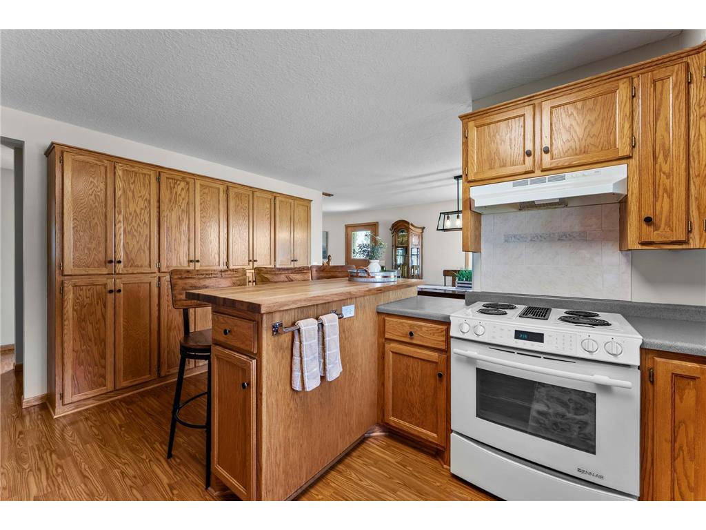 28840 Highway 169 Baldwin Twp MN 55371 - Cantlin 6760279 image43