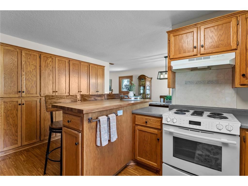 28840 Highway 169 Baldwin Twp MN 55371 - Cantlin 6760279 image44