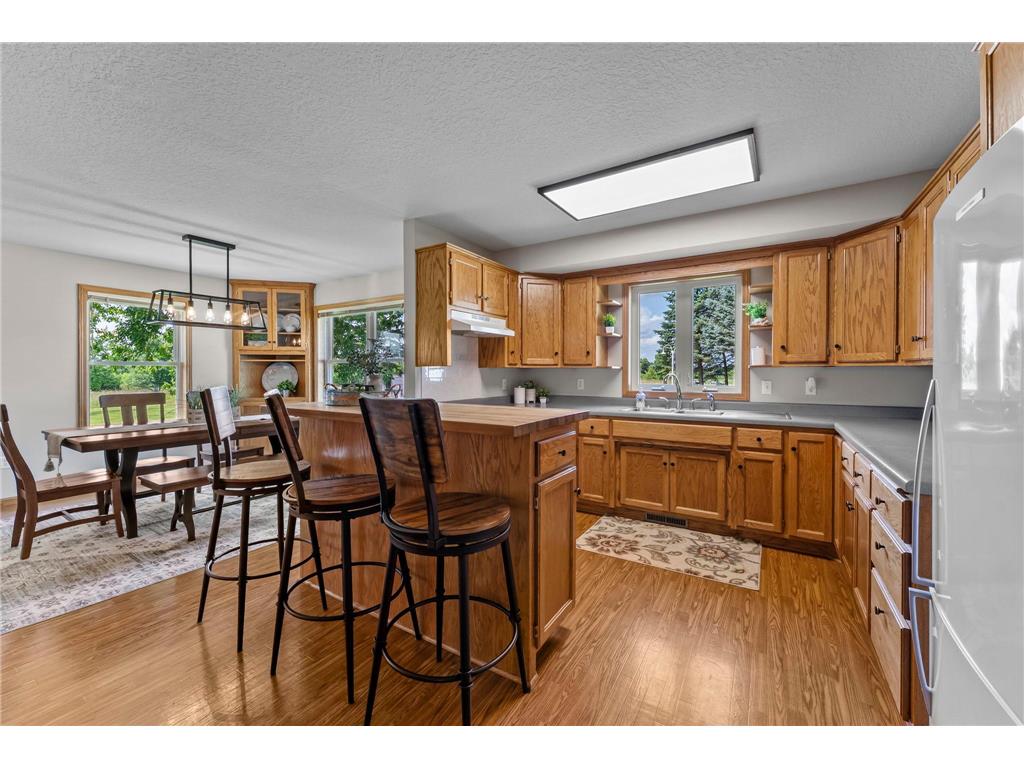 28840 Highway 169 Baldwin Twp MN 55371 - Cantlin 6760279 image5