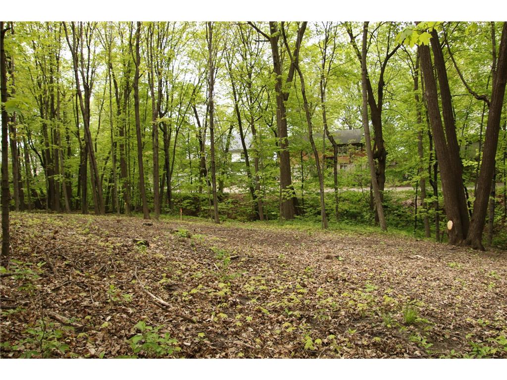 2885 Ardmore Avenue Medina MN 55359 6265853 image1