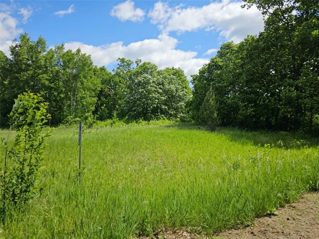 28854 Peppin Drive Browerville MN 56438 - Fawn 7090235 image11