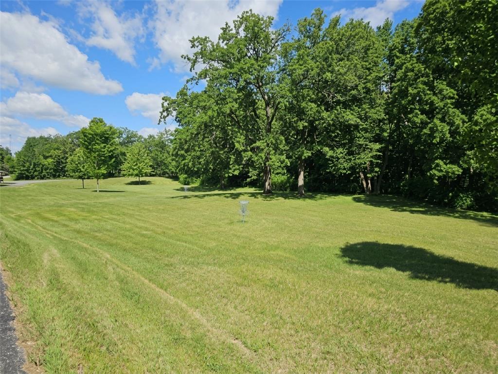 28854 Peppin Drive Browerville MN 56438 - Fawn 7090235 image14