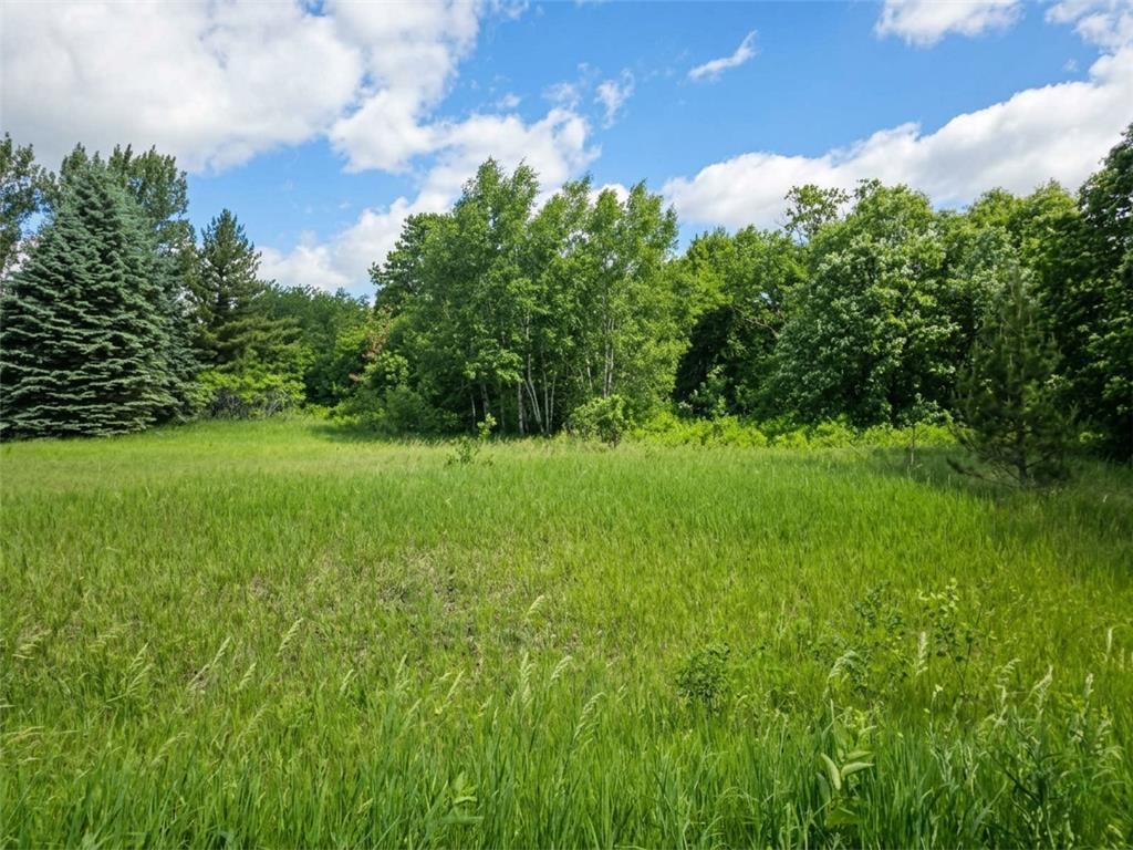 28854 Peppin Drive Browerville MN 56438 - Fawn 7090235 image6