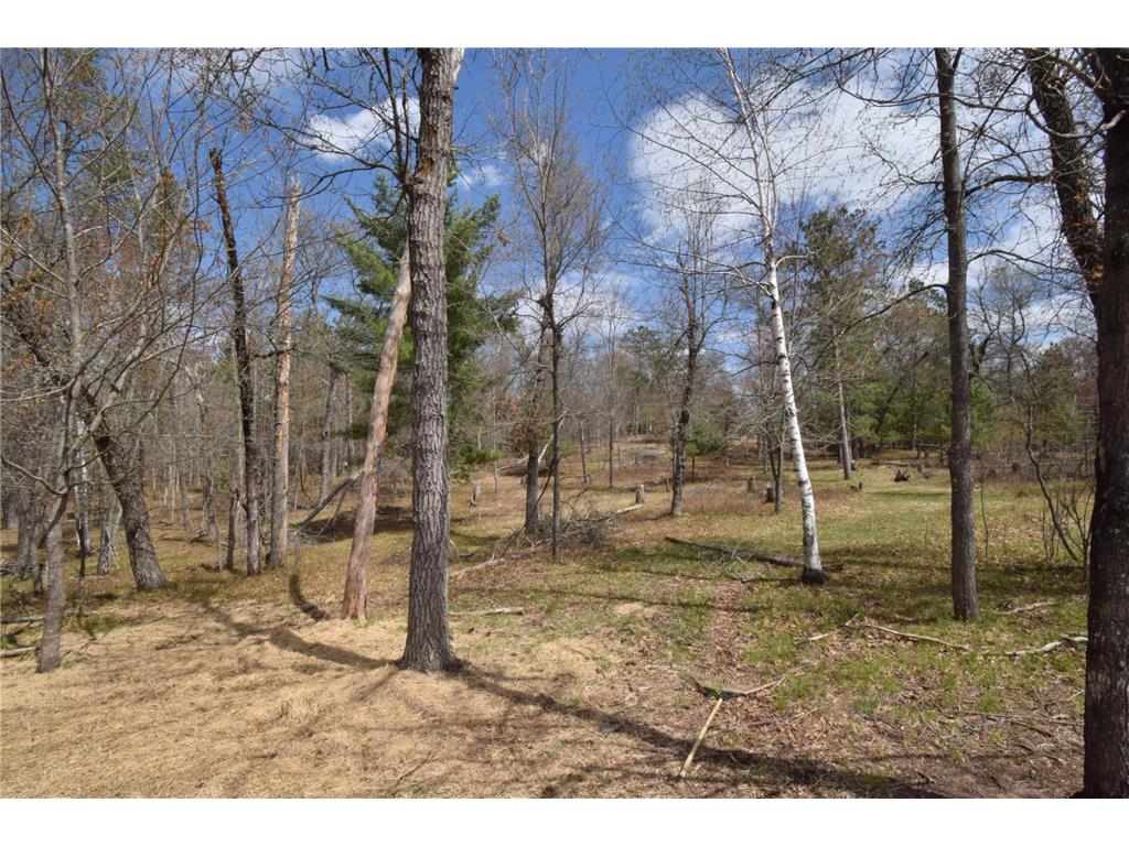 28870 E Yellow River Road Danbury WI 54830 - Yellow River 7031832 image59