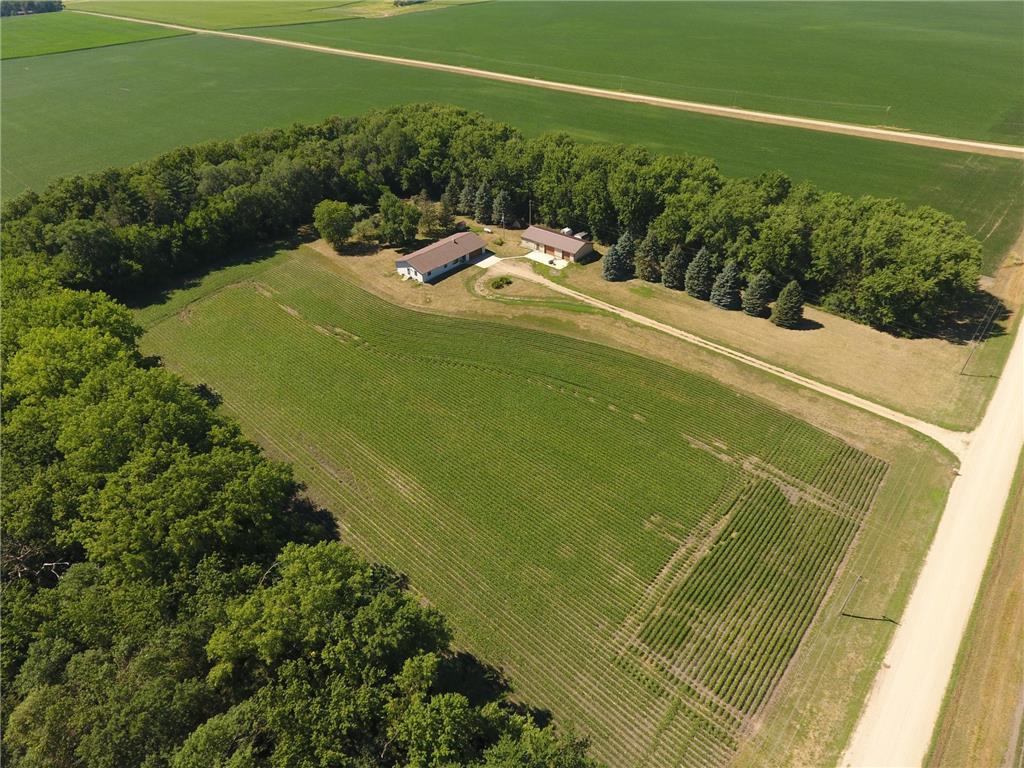 28870 Impala Avenue, Wabasso, MN 56293 MLS 6239406 Edina Realty