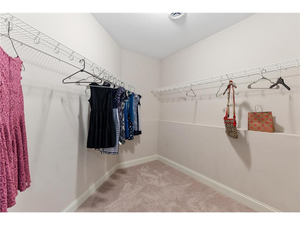 2888 Forest Ridge Chaska MN 55318 6757921 image43