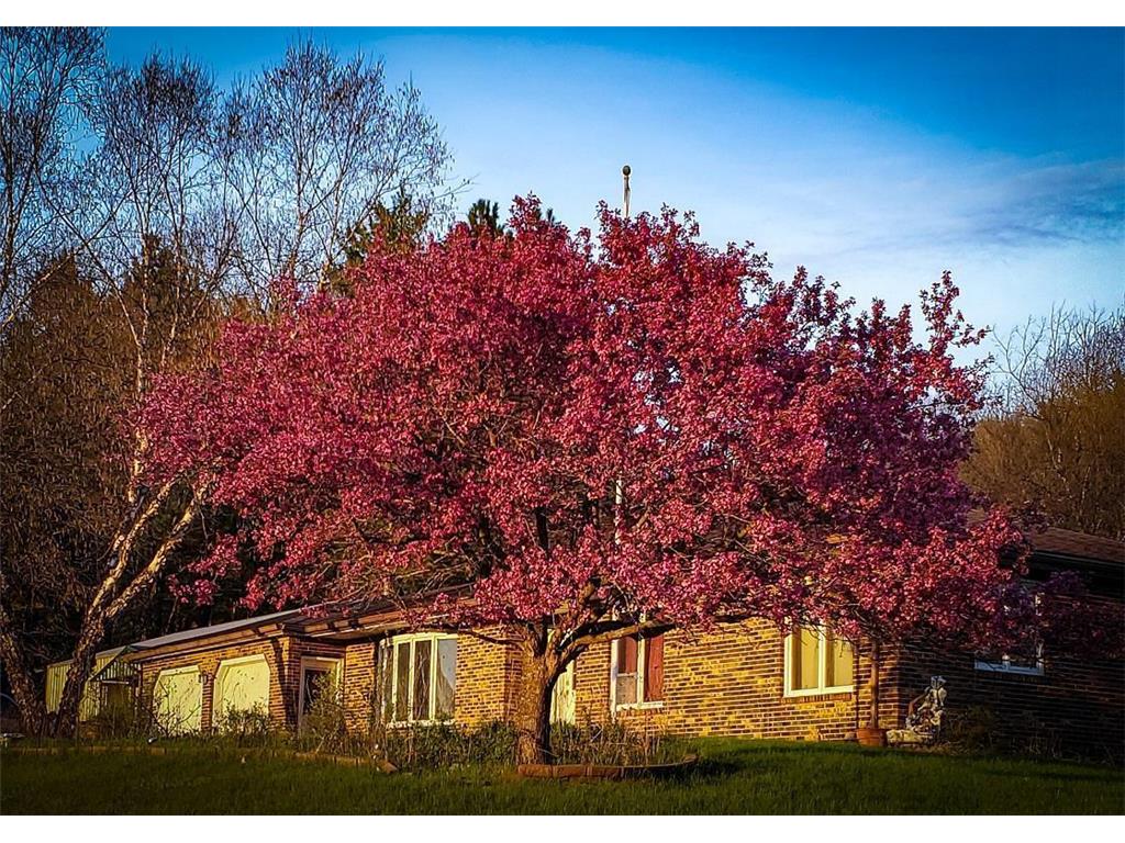 28890 County 25 S Rushford MN 55962 7018733 image37