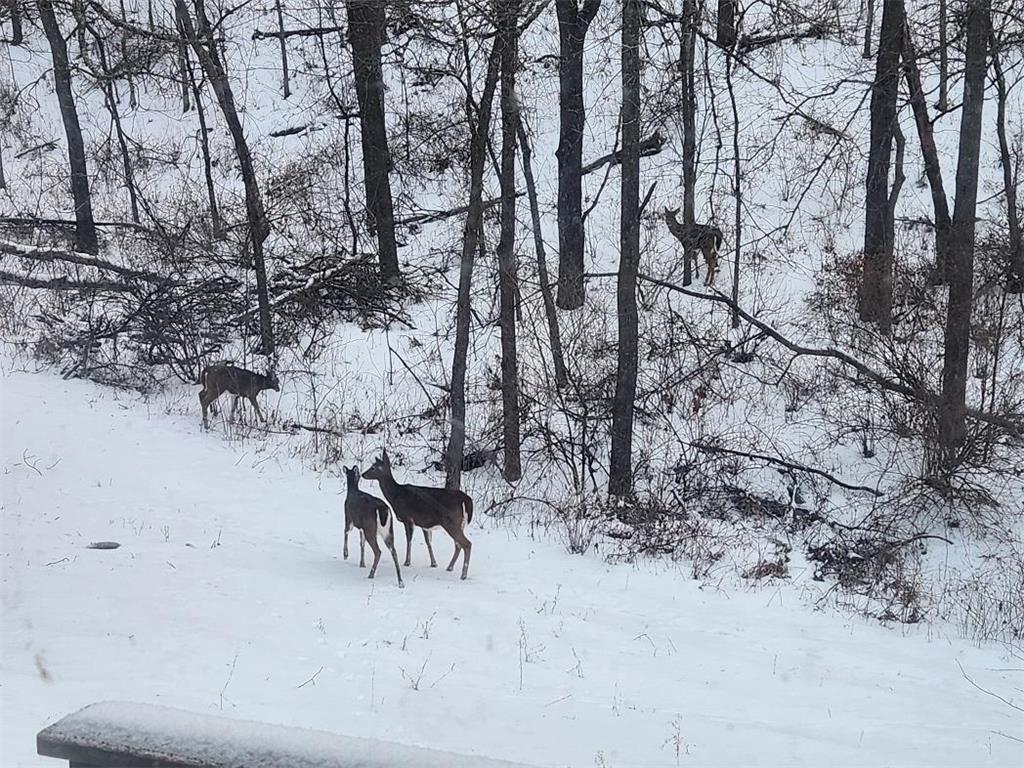 28890 County 25 S Rushford MN 55962 7018733 image39