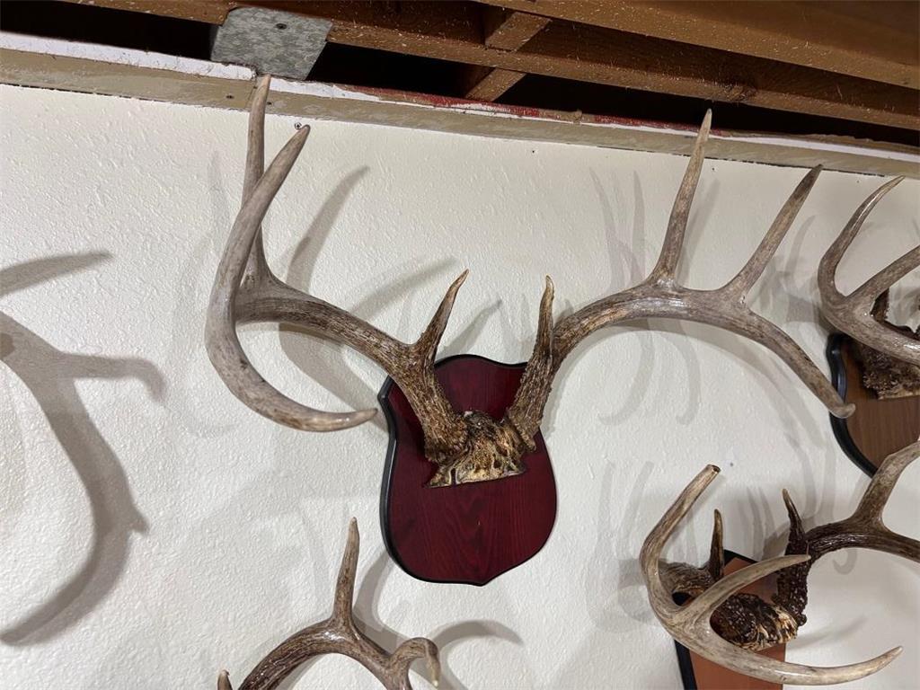 28890 County 25 S Rushford MN 55962 7018733 image49