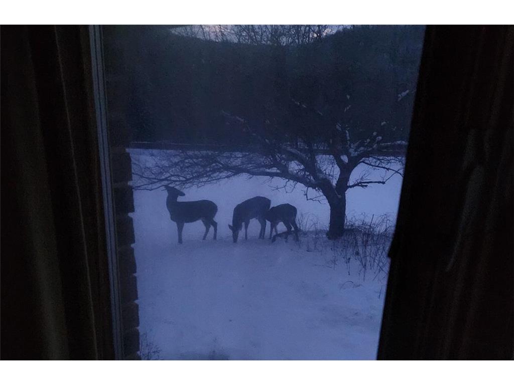 28890 County 25 S Rushford MN 55962 7018733 image52