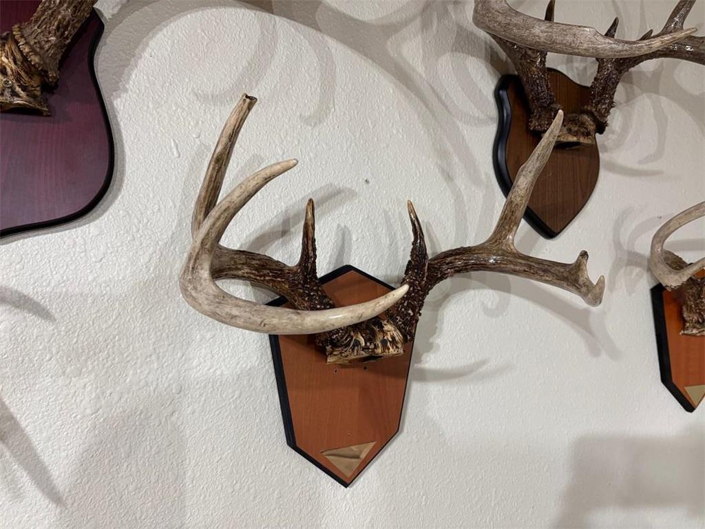 28890 County 25 S Rushford MN 55962 7018733 image53