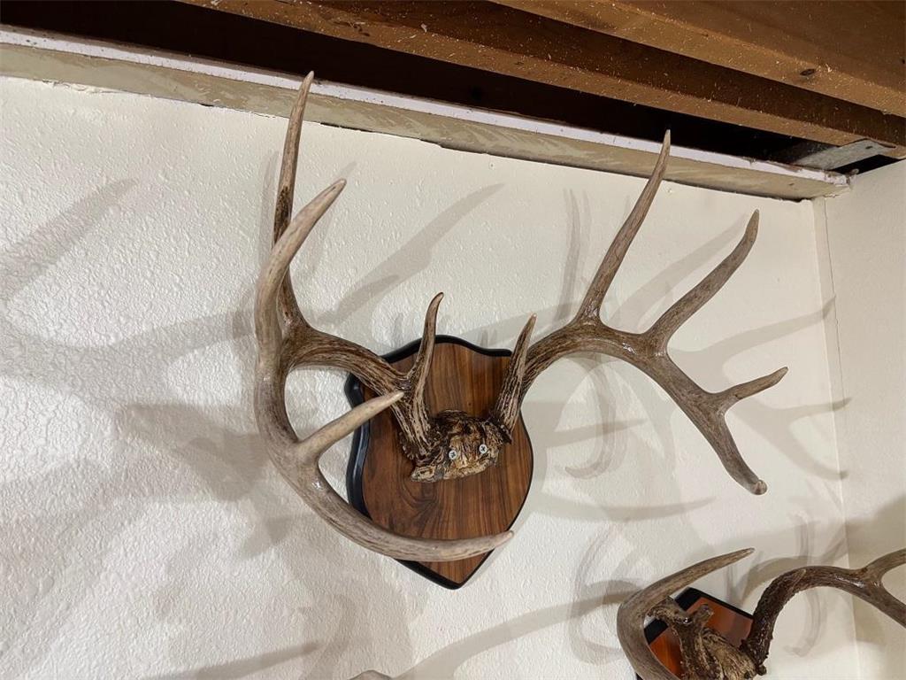 28890 County 25 S Rushford MN 55962 7018733 image59