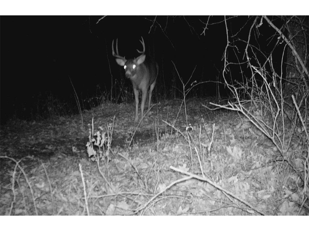 28890 County 25 S Rushford MN 55962 7018733 image72