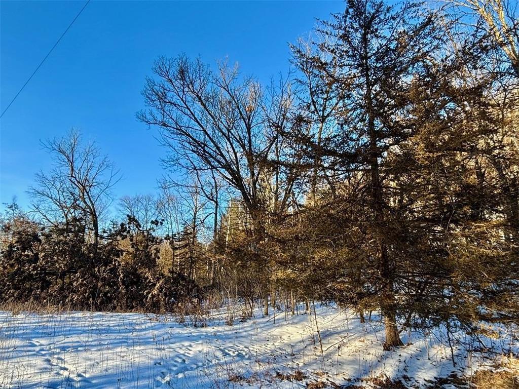 28890 County 25 S Rushford MN 55962 7018733 image73