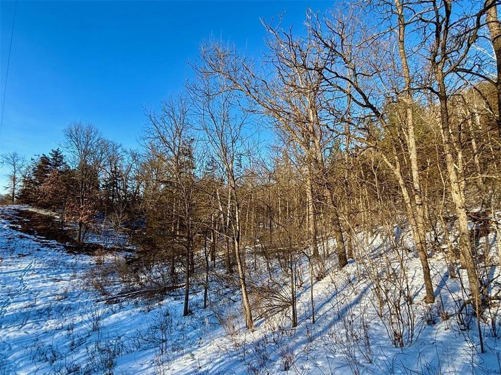 28890 County 25 S Rushford MN 55962 7018733 image76