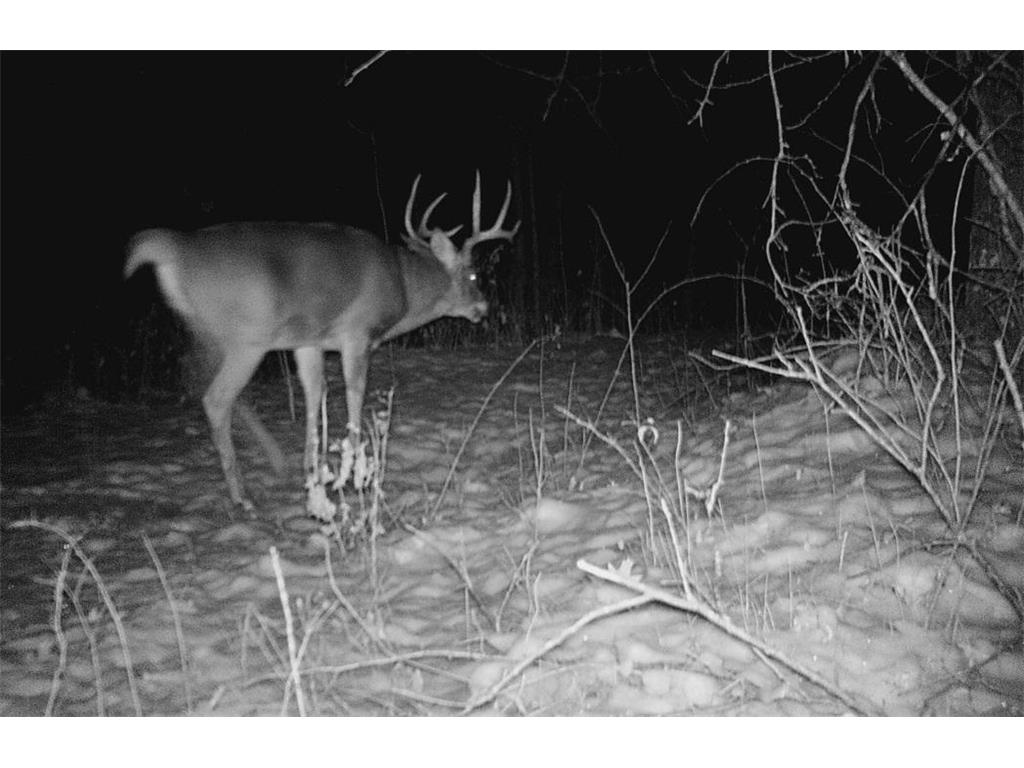 28890 County 25 S Rushford MN 55962 7018733 image78